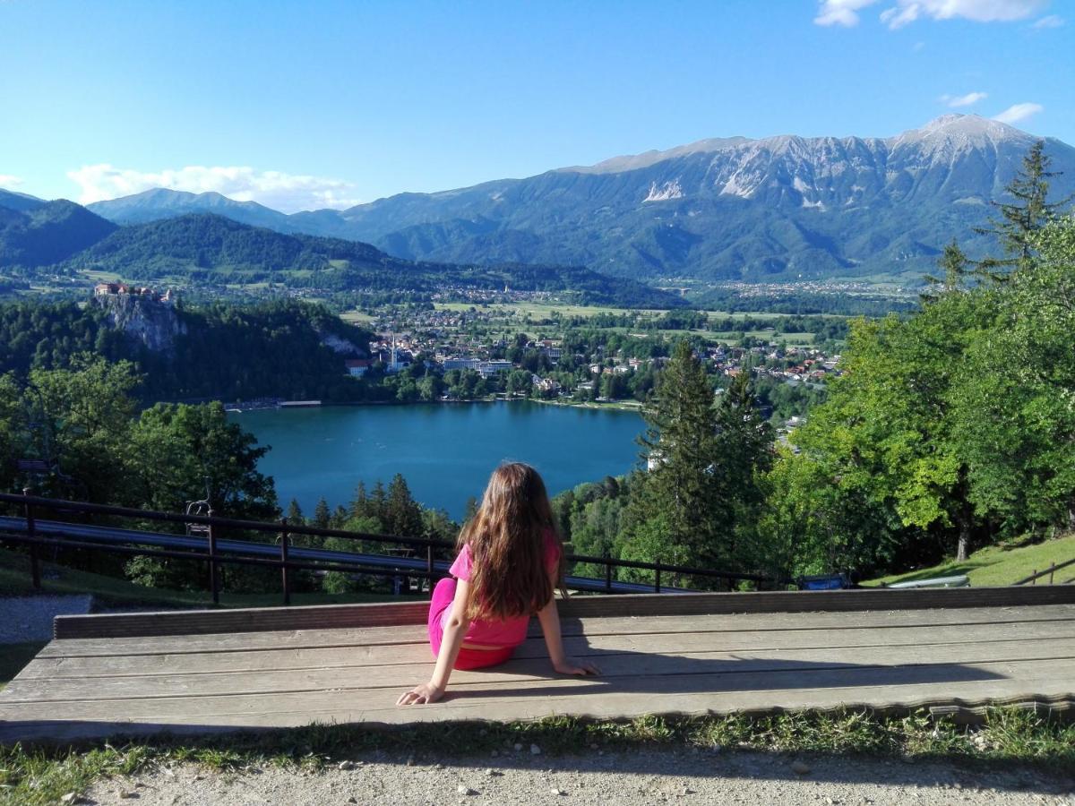 Apartma Carnica Appartement Bled
